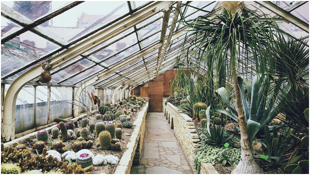 geothermal as green house