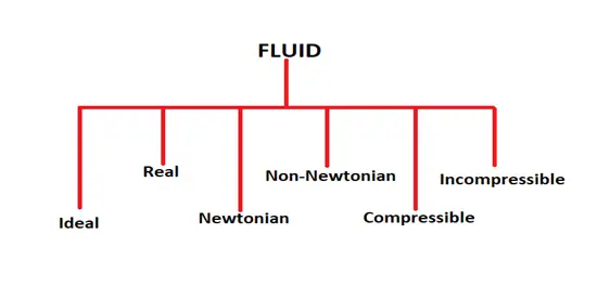 种类fluid